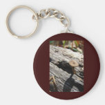 A Tiny  Place Key Chains
