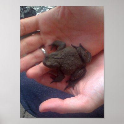 A Toad in the Hand... Print by Moondial