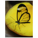 a touch of lemon t-shirts
