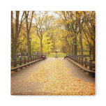 A Trail of Autumn Leaves, Central Park, NYC Fridge Magnets