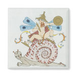 A Traveling Snail Magnets