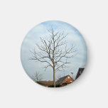 A tree without leaves under the sky refrigerator magnets