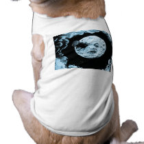 A Trip to the Moon