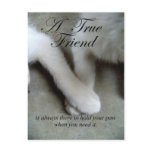 A True Friend Postcard