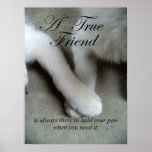 A True Friend Poster Print