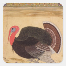 A turkey-cock, brought to Jahangir Sticker