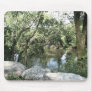 A View of the River Mousepad