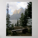 A View with a Bench posters