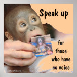 A Voice: Speak Up for Wildlife posters