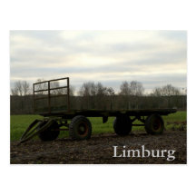 A wagon in a Dutch meadow Postcard