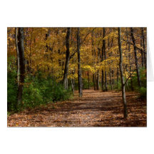 A Walk At Charleston Falls #6 Greeting Cards