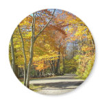 A walk in the park
