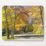 A walk in the park