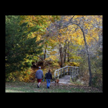A Walk In The Park posters
