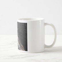 A walk in the woods coffee mugs