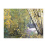 A Walk in the Woods Postcards