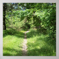 a walk in the woods print