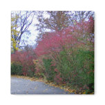 A Walk On A Beautiful Autumn Day Magnets