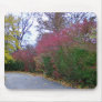 A Walk On A Beautiful Autumn Day Mouse Pads