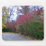A Walk On A Beautiful Autumn Day mousepads