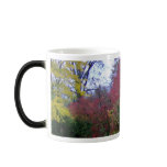 A Walk On A Beautiful Autumn Day Coffee Mugs
