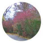 A Walk On A Beautiful Autumn Day Sticker