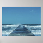 A Walk On The Wild Side Posters
