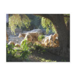 A Warmth from Africa postcards