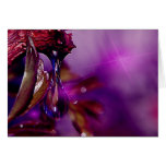 A water drop in purple card