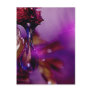 A water drop in purple post cards