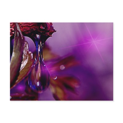 A water drop in purple post card by Squealia