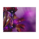 A water drop in purple postcards