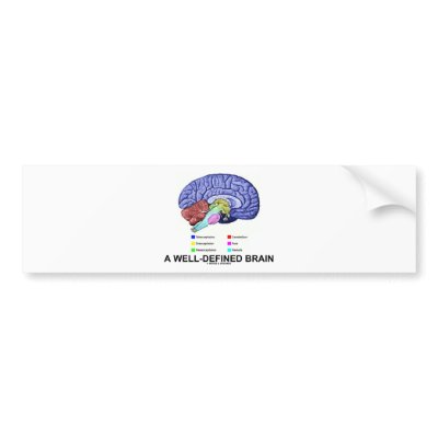 A Well-Defined Brain (Anatomical Brain Humour) by wordsunwords