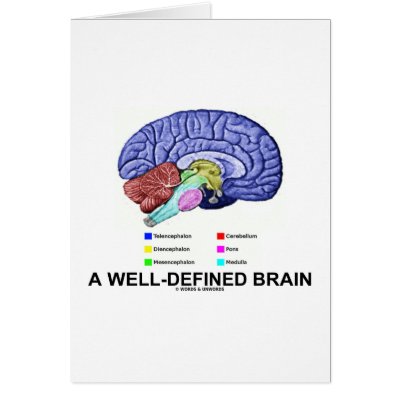 A Well-Defined Brain (Anatomical Brain Humour) by wordsunwords
