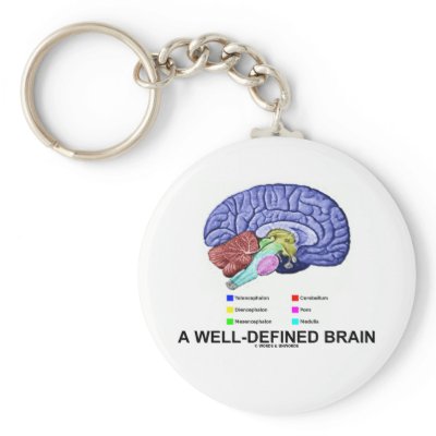 A Well-Defined Brain (Anatomical Brain Humour) by wordsunwords