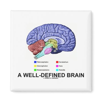 A Well-Defined Brain (Anatomical Brain Humour) by wordsunwords