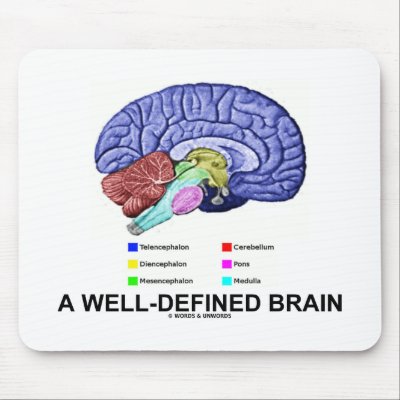 A Well-Defined Brain (Anatomical Brain Humour) by wordsunwords