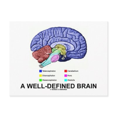 A Well-Defined Brain (Anatomical Brain Humour) by wordsunwords