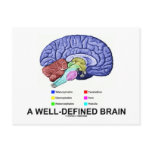 A Well-Defined Brain (Anatomical Brain Humour) postcards