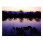 A Wet-Year Post Cards