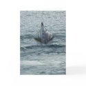A Whale in Unalaska Bay cards