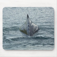 A Whale in Unalaska Bay Mouse Mats