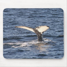 'A Whale of a Tail' Mouse Pad