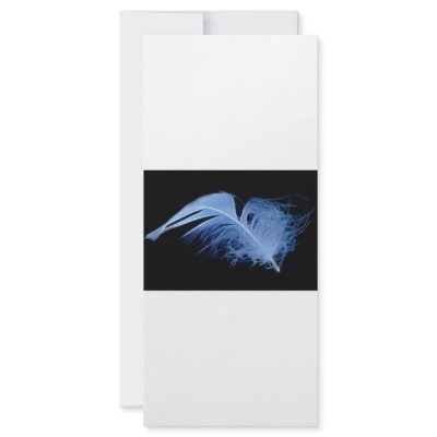 A whisper of a feather custom rack card by laureenr