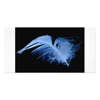 A whisper of a feather photo card template by laureenr