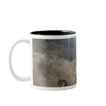 A white dwarf star mug