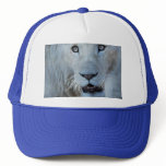A white lion in Africa Mesh Hats