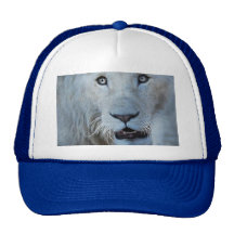 A white lion in Africa Mesh Hats