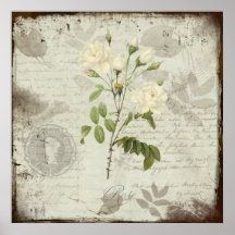 A White Rose for Grandmother Poster