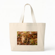 A Wild Boar Piglet Sus Scrofa in the Autumn Leaves Bags